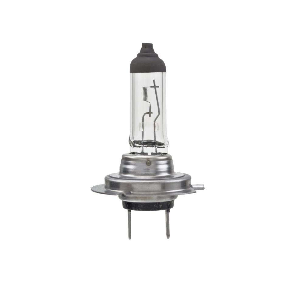 AMPOLLETAS HALÓGENAS 12V