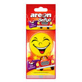AROMATIZANTE AREON SMILE ANTI TABBACO